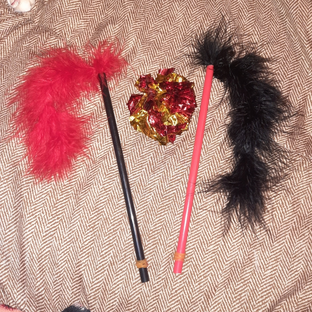Cat Toys